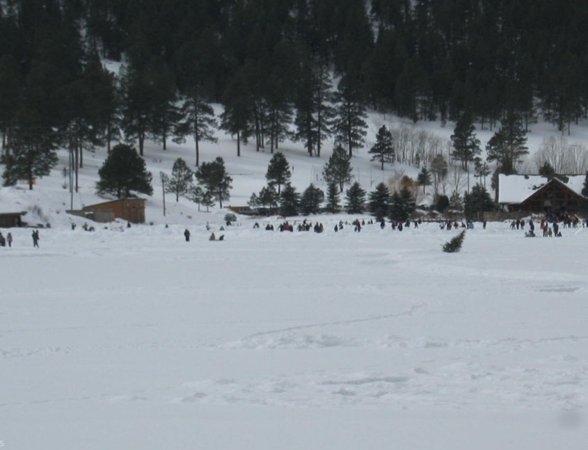 Snowy Field